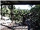 41 Lyon Street, Bellingen NSW 2454