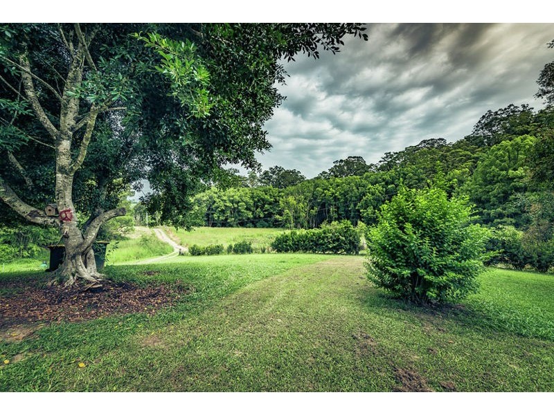189 Maydwell Street, Fernmount NSW 2454