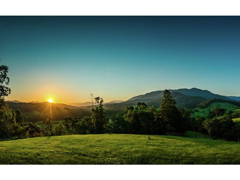 2727 Waterfall Way., Bellingen NSW 2454