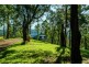 2727 Waterfall Way., Bellingen NSW 2454