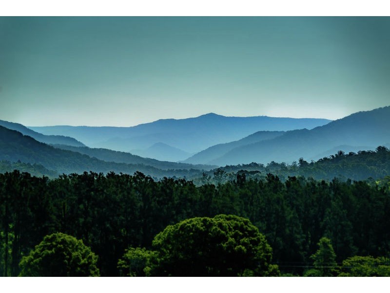 2727 Waterfall Way., Bellingen NSW 2454