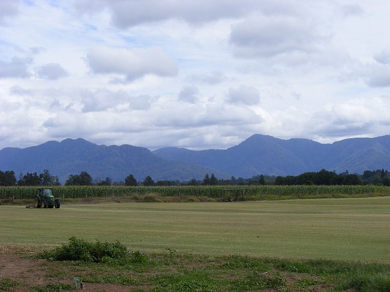 378 North Bank Road, Bellingen NSW 2454