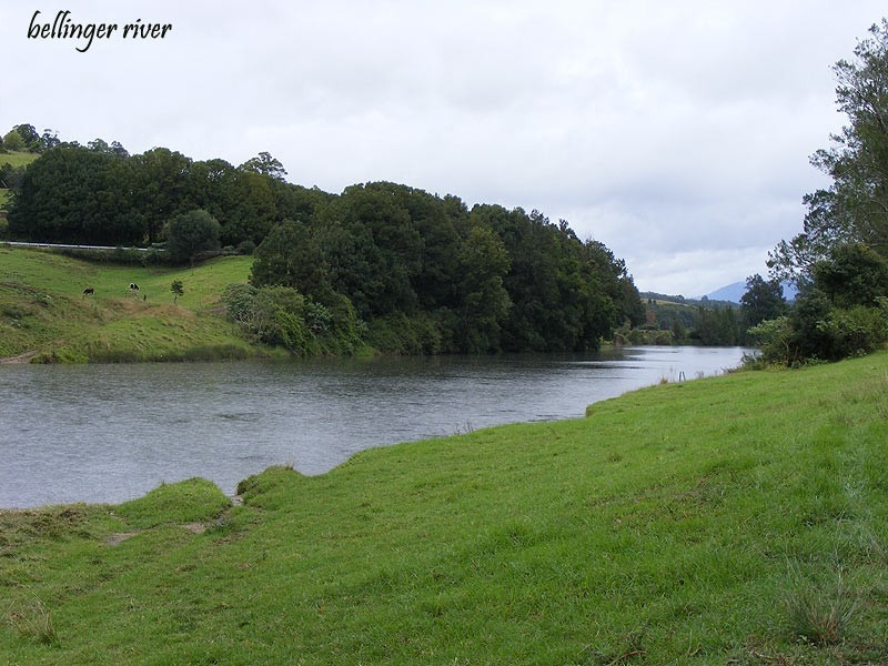 378 North Bank Road, Bellingen NSW 2454