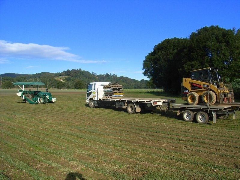 378 North Bank Road, Bellingen NSW 2454