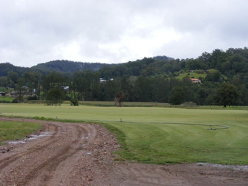 378 North Bank Road, Bellingen NSW 2454