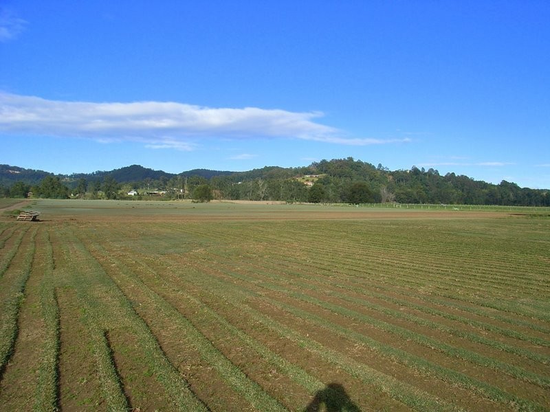 378 North Bank Road, Bellingen NSW 2454