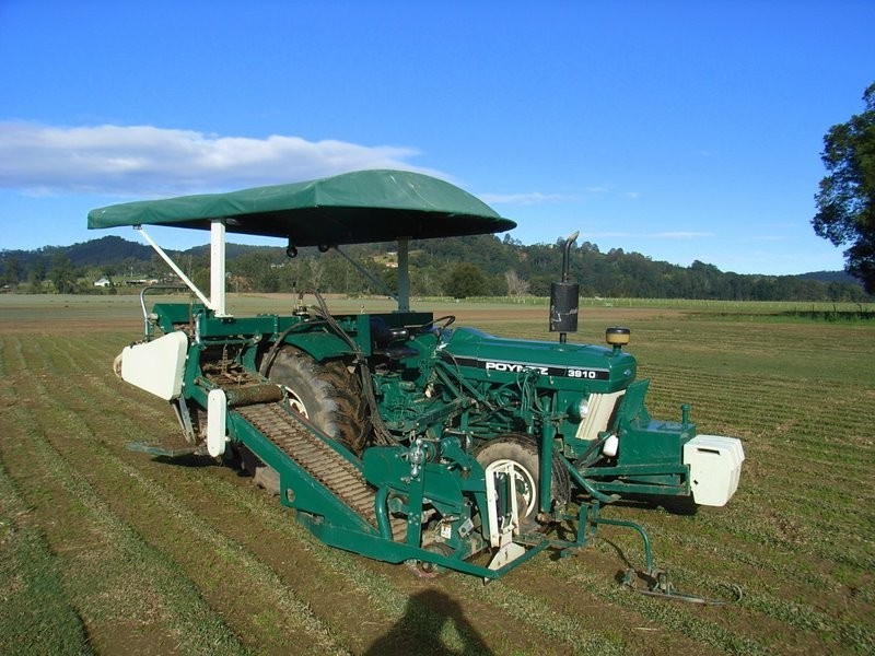 378 North Bank Road, Bellingen NSW 2454