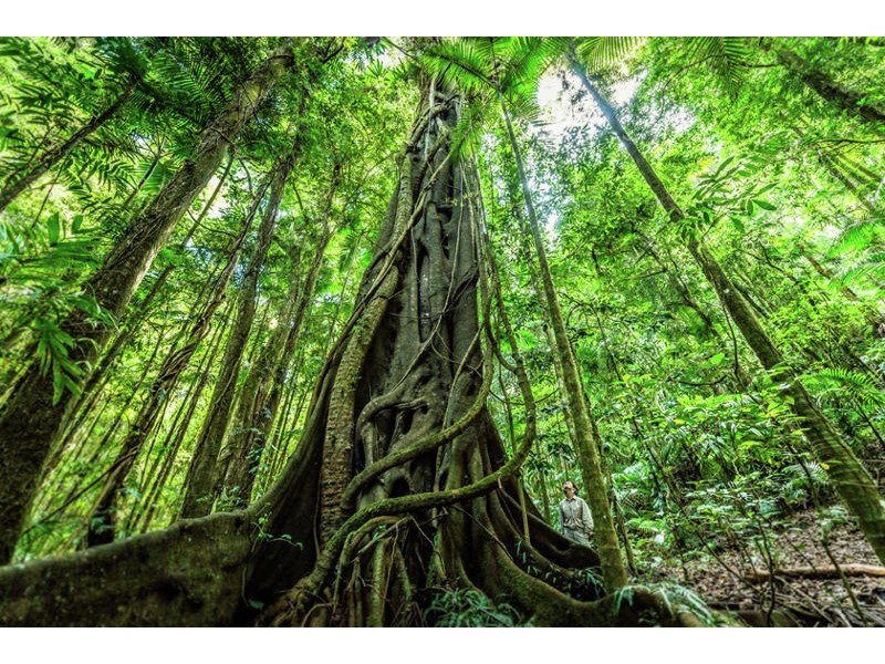 2938 North Arm Road, Bowraville NSW 2449