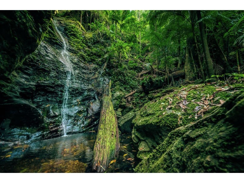 2938 North Arm Road, Bowraville NSW 2449