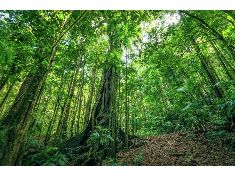 2938 North Arm Road, Bowraville NSW 2449