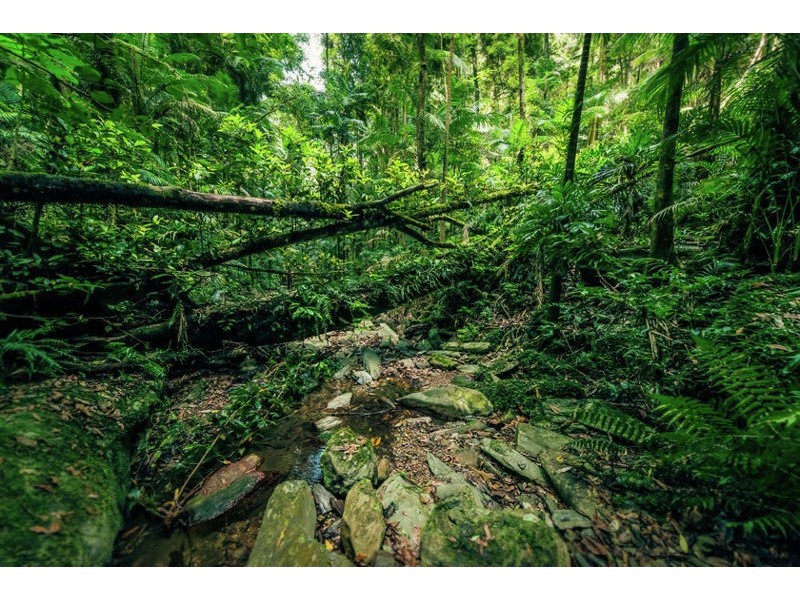 2938 North Arm Road, Bowraville NSW 2449