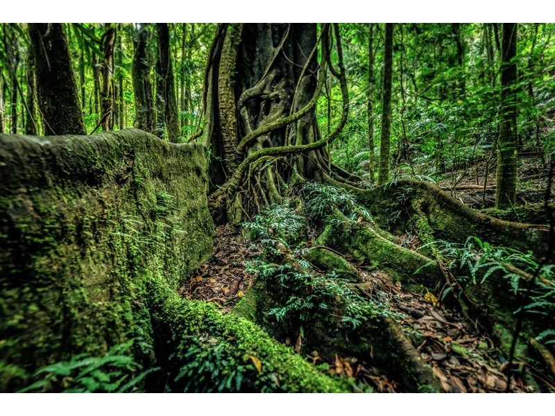 2938 North Arm Road, Bowraville NSW 2449