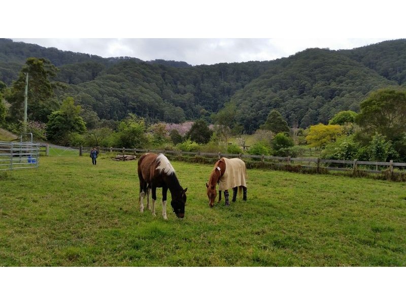 543 Crossmaglen Road, Bonville NSW 2441