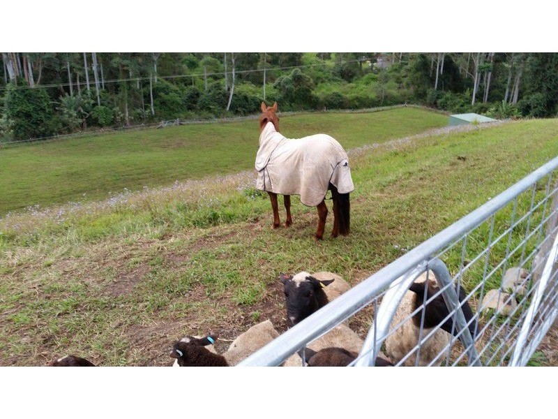 543 Crossmaglen Road, Bonville NSW 2441