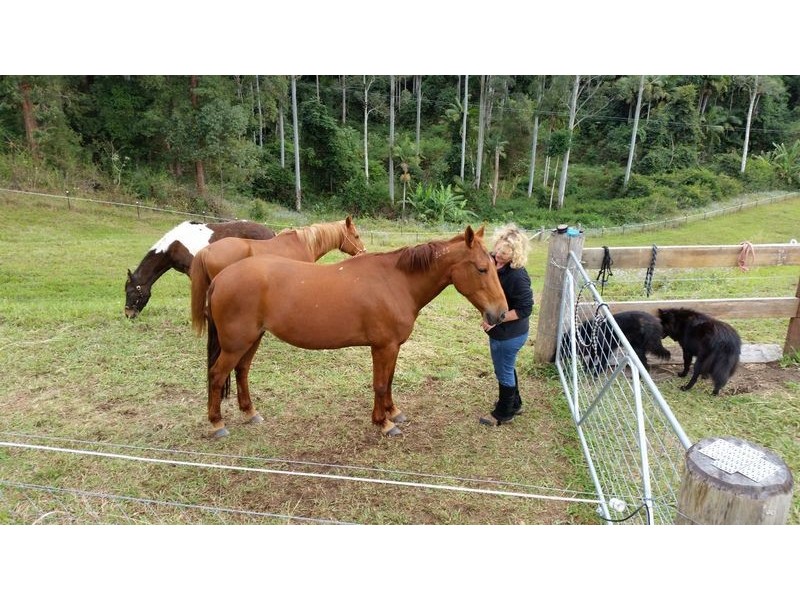 543 Crossmaglen Road, Bonville NSW 2441