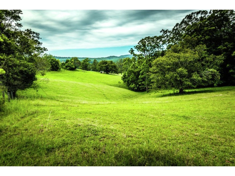 229 Roses Road, Gleniffer NSW 2454