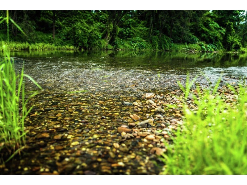 229 Roses Road, Gleniffer NSW 2454