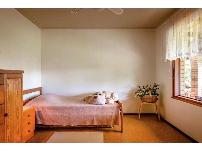 229 Roses Road, Gleniffer NSW 2454