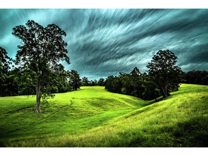 229 Roses Road, Gleniffer NSW 2454