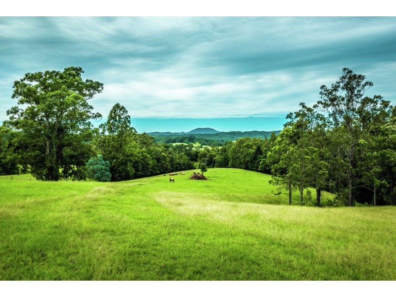 229 Roses Road, Gleniffer NSW 2454