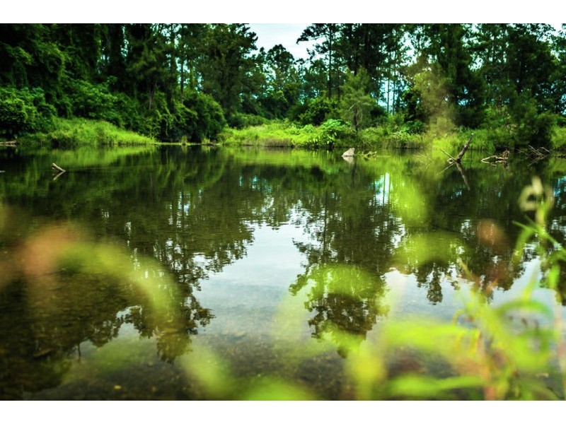 229 Roses Road, Gleniffer NSW 2454