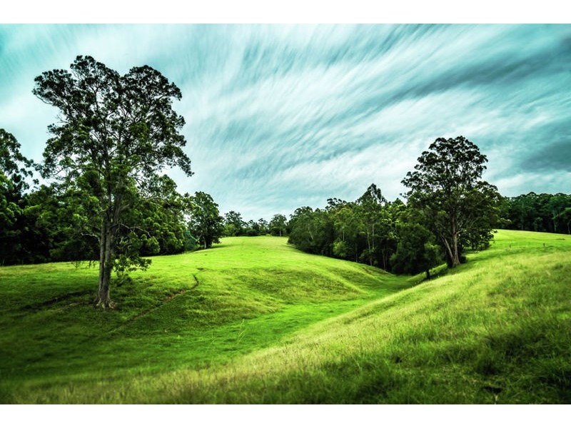 229 Roses Road, Gleniffer NSW 2454