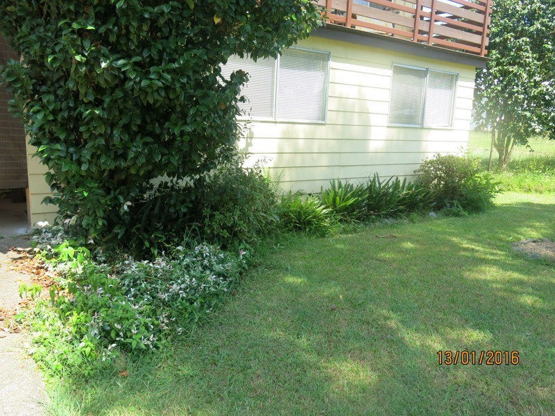 35A Hammond Street, Bellingen NSW 2454