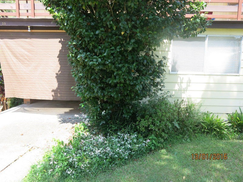 35A Hammond Street, Bellingen NSW 2454