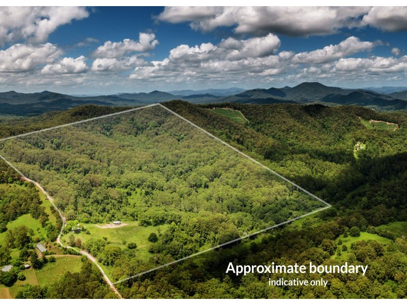 158 Old Brierfield Road, Bellingen NSW 2454