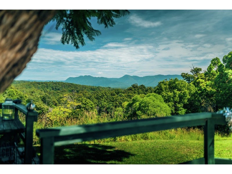 158 Old Brierfield Road, Bellingen NSW 2454
