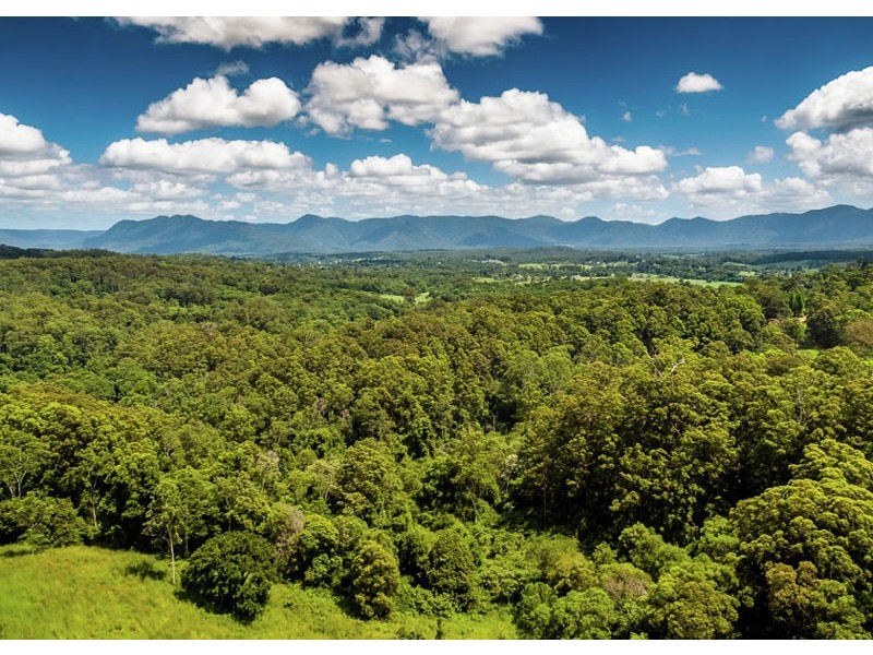 158 Old Brierfield Road, Bellingen NSW 2454