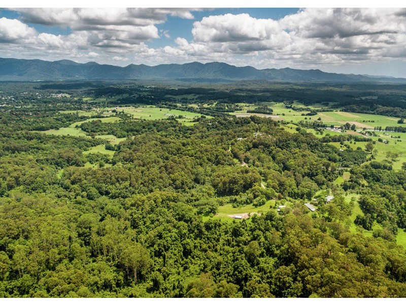 158 Old Brierfield Road, Bellingen NSW 2454