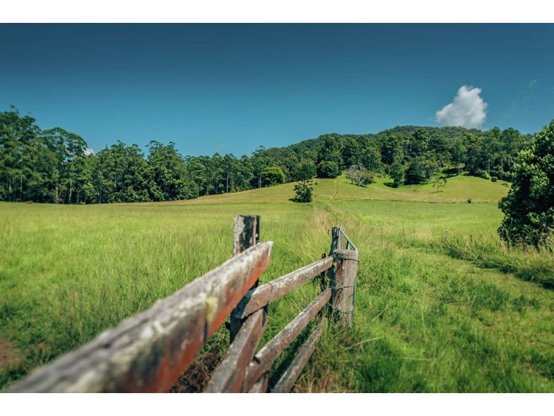 1620 Kalang Road, Bellingen NSW 2454