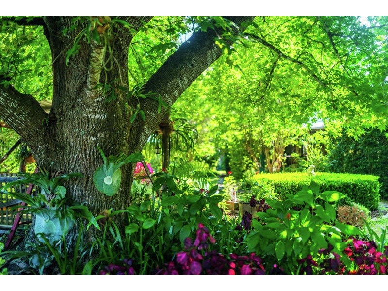 1620 Kalang Road, Bellingen NSW 2454