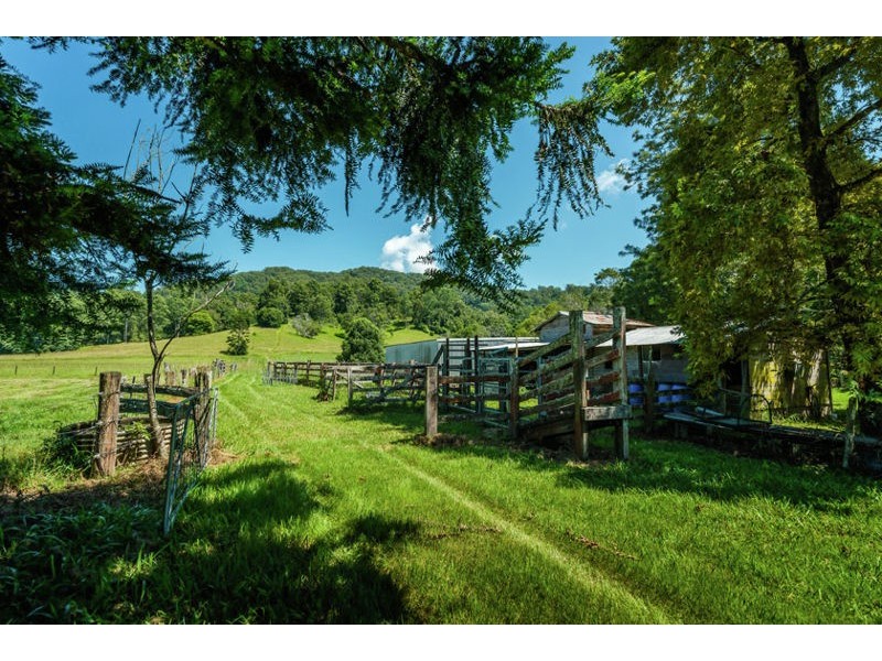 1620 Kalang Road, Bellingen NSW 2454