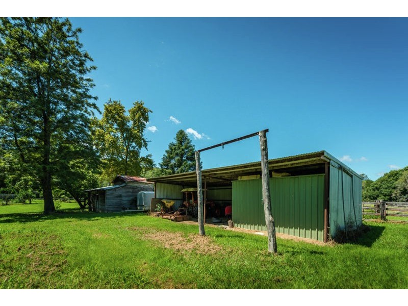 1620 Kalang Road, Bellingen NSW 2454