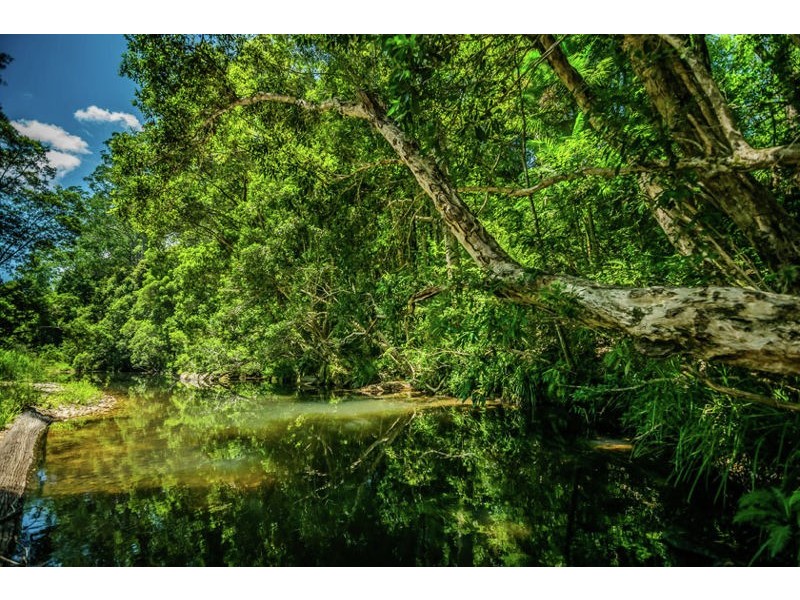 1620 Kalang Road, Bellingen NSW 2454