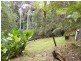 50 Tuckers Rock Road, Repton NSW 2454