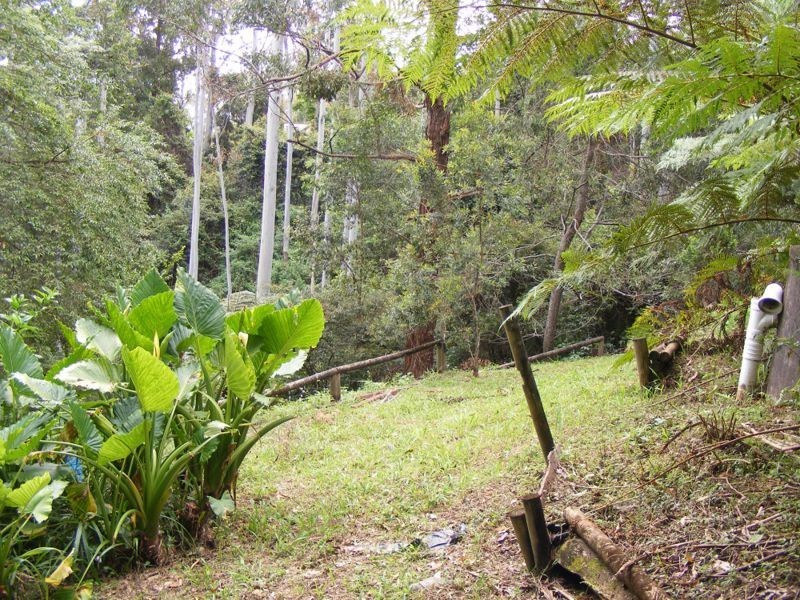 50 Tuckers Rock Road, Repton NSW 2454