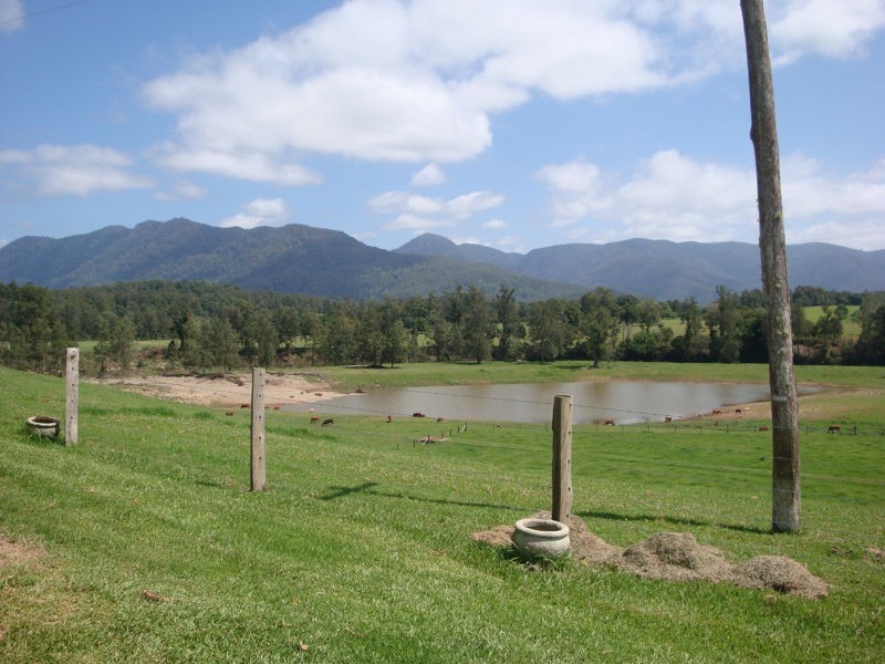 1646 Waterfall Way, Bellingen NSW 2454