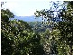 Lot 4 Maydwell Street Fernmount, Bellingen NSW 2454