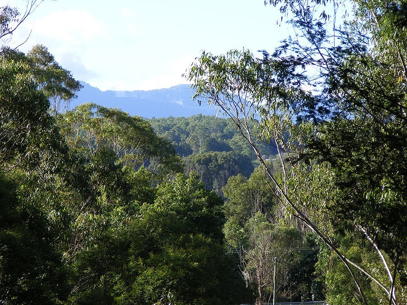 Lot 4 Maydwell Street Fernmount, Bellingen NSW 2454