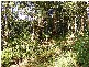Lot 4 Maydwell Street Fernmount, Bellingen NSW 2454