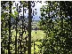 Lot 4 Maydwell Street Fernmount, Bellingen NSW 2454