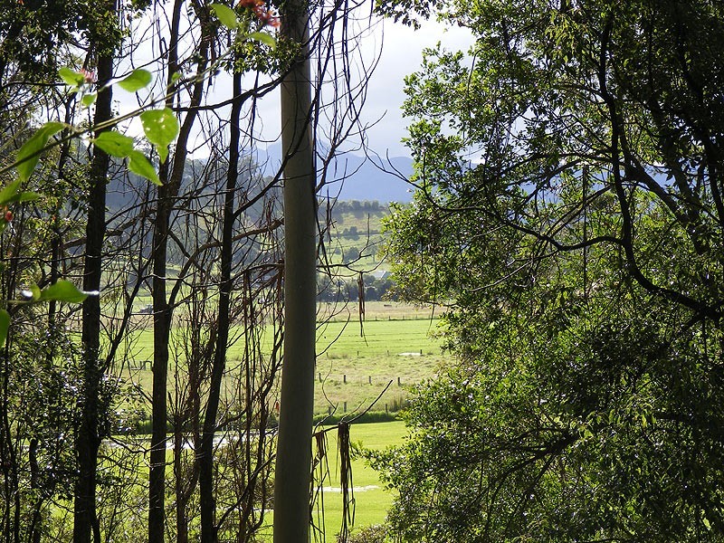 Lot 4 Maydwell Street Fernmount, Bellingen NSW 2454