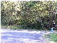 Lot 4 Maydwell Street Fernmount, Bellingen NSW 2454