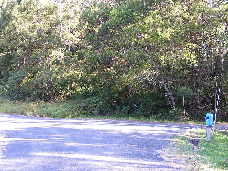 Lot 4 Maydwell Street Fernmount, Bellingen NSW 2454