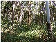 Lot 4 Maydwell Street Fernmount, Bellingen NSW 2454