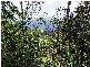 Lot 4 Maydwell Street Fernmount, Bellingen NSW 2454