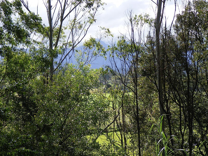 Lot 4 Maydwell Street Fernmount, Bellingen NSW 2454